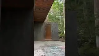 Exposed Steel Among the Trees! Interesting || HB DesignDriven