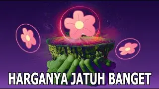 GILA TOKEN ALICE JATUH BANGET HARGANYA | GAME MY NEIGHBOR ALICE JUGA BELUM MUNCUL MUNCUL