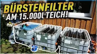 B&Uuml;RSTENFILTER im IBC CONTAINER! Ein KOITEICH mit 