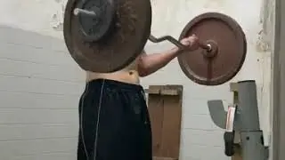 Cheat curls : 50kg / 110lbs without barbell weight