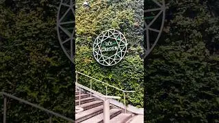 London's BEST Free View: Sky Garden 🇬🇧