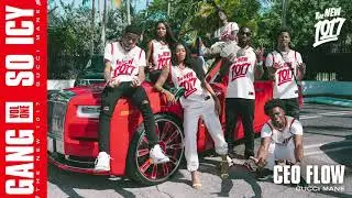 Gucci Mane - CEO Flow [Official Audio]