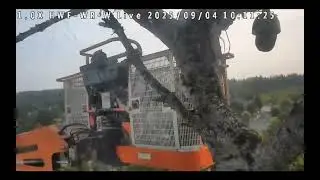 Sept 4, 2025 HWF White Rock, BC Eagles-Camera Replacement Part #1 (9:56 to 10:58 am) (58:13 Minutes)