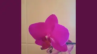 TYVM
