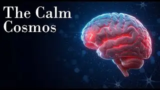 The Calm Cosmos | Sleep and Dreams: The Science Behind the Night