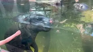 ZOO La Aurora Guatemala City