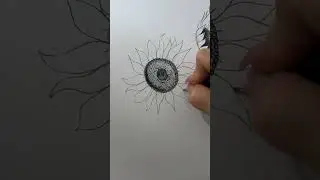 Sonnenblumen 🌻 einfaches Tutorial &bull;#sonnenblumen #blumenzeichnen #zeichnen #kunst #skizze #blumen