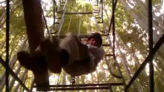 Normer Adams Rapelling from the top of his Tower