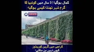 Karachi weather save tree