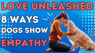 Love Unleashed: 8 Ways Dogs Show Empathy