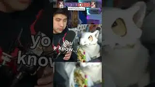What A Cubone Sounds Like #corgi #streamer #cubone #pokemon #pokemoncosplay