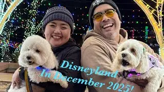 8 Hopper Rides in 6 Hours With Lightning Lane Single and Multi Pass: December at Disneyland & DCA