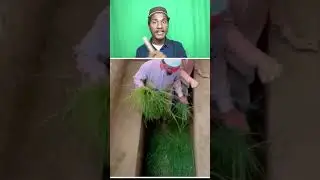 sabka aakhri Ghar