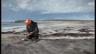Reflections on clearing land mines in the Falkland Islands