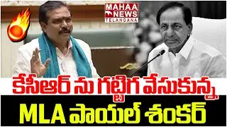 కేసీఆర్ ను గట్టిగ వేసుకున్న పాయల్ శంకర్ | MLA Payal Shankar Fire On KCR | Mahaa Telangana