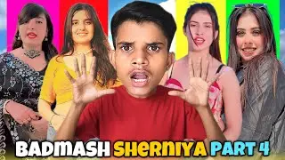 Rajasthan Ki Badmash Sherniya 🦁 || Part 4 || Marwadi Roaster