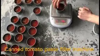 Canned tomato paste filling machine, Sauce Filling machine with piston filler machine,jee filler