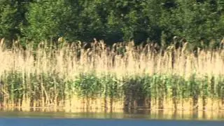 Bootsfahrt auf dem B&uuml;tzsee