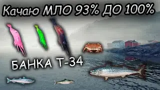 Качаю МЛО ДО 100% | СТРИМ | Норвежское море 34  банка  |  Русская Рыбалка 4  Russian Fishing 4 