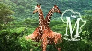 Afro Carrib - Open It (Mycrazything Records)