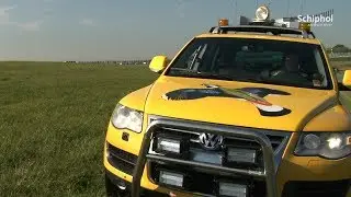 Bird Controllers at Schiphol