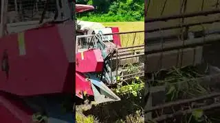 Rice Combine Machine | Fast & Efficient Paddy Harvesting #farming #combine