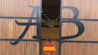YEGUADA ALBERTO BOYA EQUIPO CABALLOS ESPA&Ntilde;OLES SICAB 2017 (ESPA&Ntilde;A)