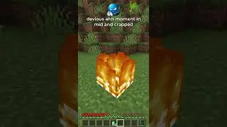 wandering trader ahh moment in minecraft 💀☠️