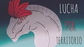 &iexcl;Lucha por territorio! Dos ejemplares machos se enfrentan en una batalla fatal.