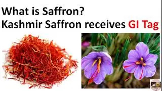 Saffron and Kashmir saffron received GI TAG.