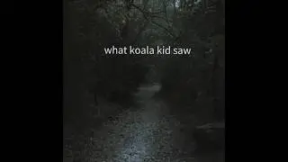 what koala kid saw||#99nightintheforest #koalakid #roblox #edit #fyp #trending #trend #shorts