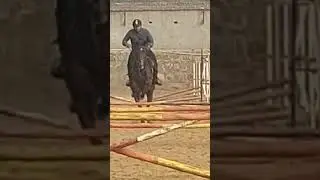 cavalty exercise