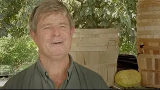 Growing Together: Farm to Fork Produce with Abundant Harvest