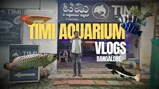 Timi aquarium bangalore | Affordable prices | full vlog | Tamil