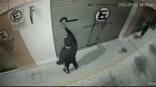detienen grafiteando a siler hcnk / que se tiene que hacer cuando te agarran pintando
