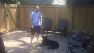 In Home Training Testimonial: In Home Dog Training Northern Virginia