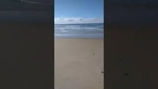 Walking at South Mission Beach 2