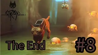 Stray Playthrough episode 8 The End