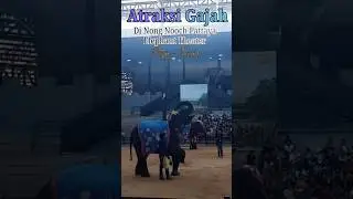 Pertunjukan Gajah Di Nong Nooch Pattaya Elephant Theater #airinejourney #elephantshow #nongnooch