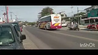 Palma sola  volvo 9800 y irizar i5 marcopolo viaggo  trv y au 