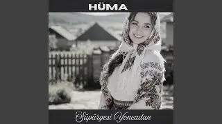 Süpürgesi Yoncadan