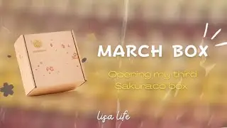 Unboxing my Japanese box subscription for March