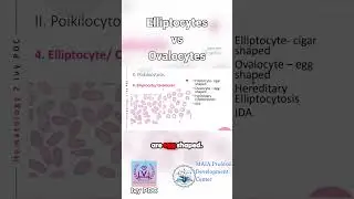 Elliptocytes vs Ovalocytes  A Comparative Analysis