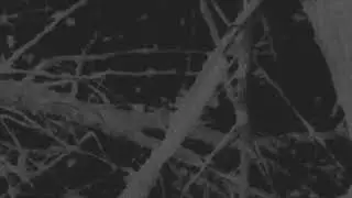 Agenda dei buoni propositi - Di notte (visual)