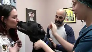 Bergen County Veterinary Center