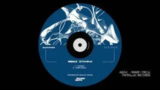 Nizax & Synthlab Records - Inner Circle