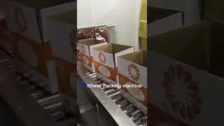 Food Packaging machine line Carton erector poly bag inserter Bag in box inserter and case sealer