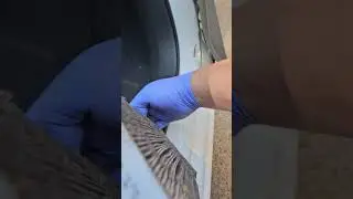 2015 Nissan sentra sv cabin air filter replacement