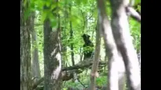 Creepy Figure in Tennessee Woods