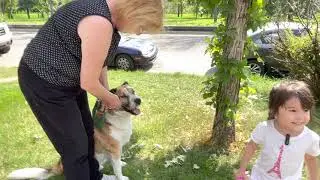 LINA- EXPLORING THE STREETS OF CALGARY---LINA- EXPLORANDO LAS CALLES DE CALGARY